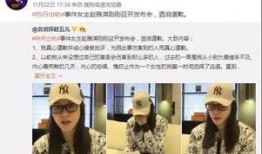 泰安负面新闻爆料事件视频,真相与争议交织