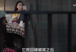 光洙姐姐爆料了吗视频在线观看,揭秘幕后故事