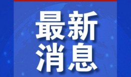 怎么发文字爆料新闻视频,如何高效发布文字、新闻视频